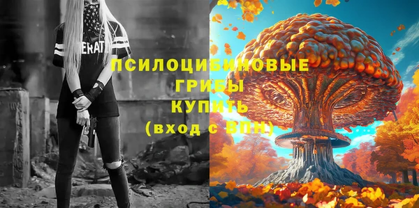 винт Арсеньев