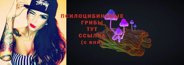 гашик Аркадак