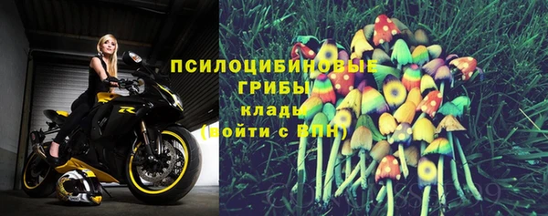 винт Арсеньев