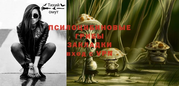 гашик Аркадак