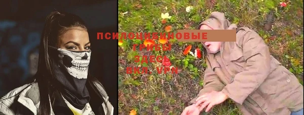 винт Арсеньев